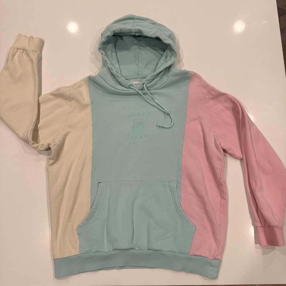 Teddy Fresh Hoodie Sweatshirt Men XL Pastel Bright Colorful Color Block Logo 90s